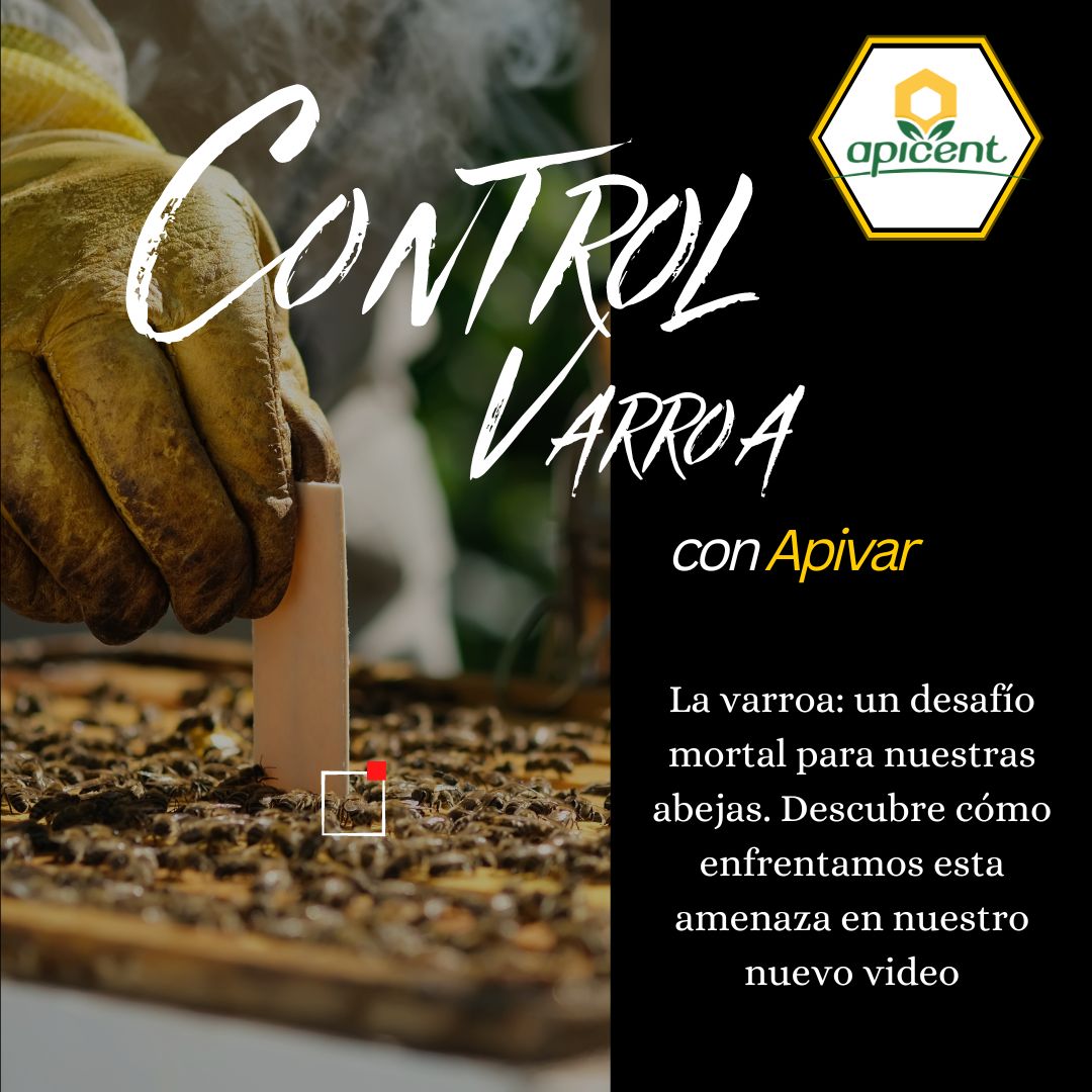 Control de Varroa con Apivar