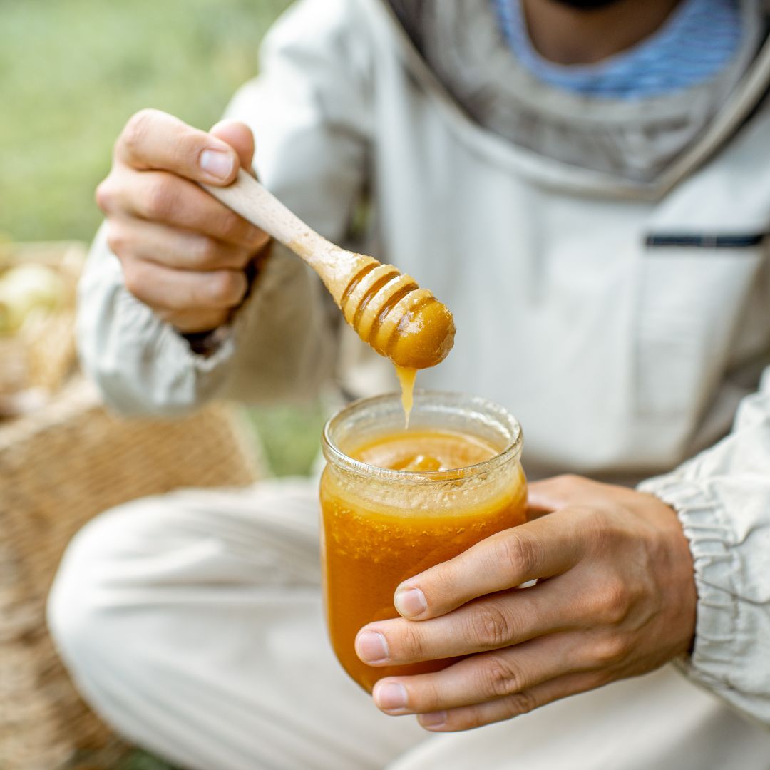 Calendario de cuidado de las abejas: Fechas y tareas clave para apicultores en el sur de Chile