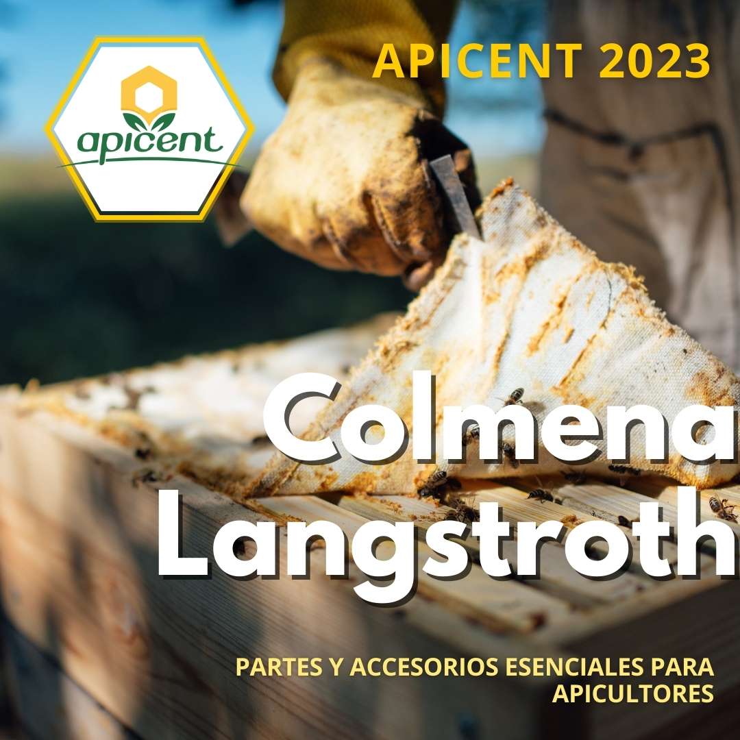 colmena-langstroth1.jpg