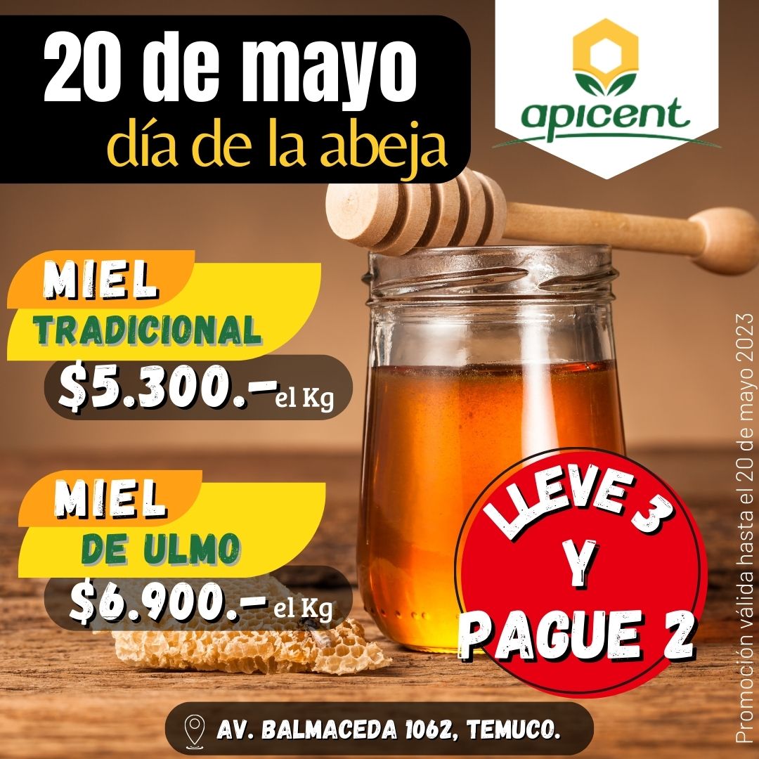 ¡Celebremos el Día Mundial de las Abejas con Descuentos Especiales en Nuestra Miel!