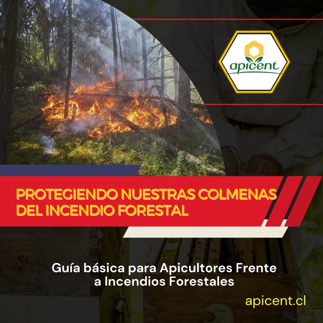 guia-incendios-apicent.jpg