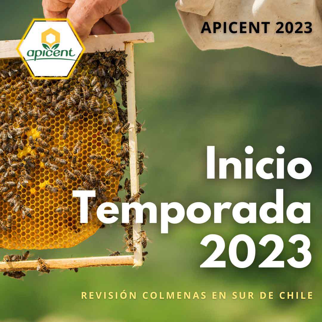 Inicio de Temporada Apícola 2023: Cuidando a las Abejas