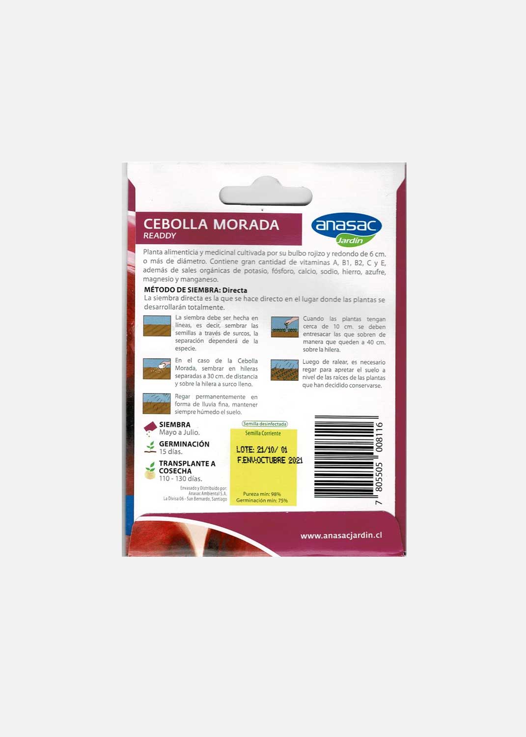 Semilla de Cebolla Morada 1 gr.