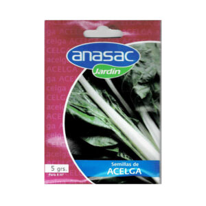 Semilla de acelga 5 grs.