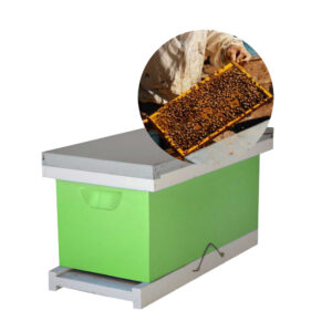 Núcleo de Abeja en Cajón Nuclero